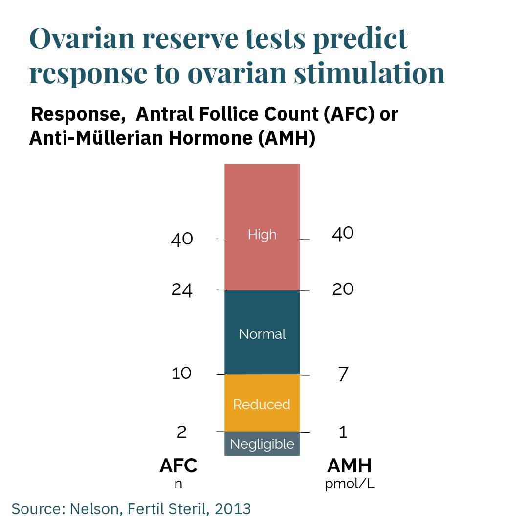 Can Anti-Müllerian Hormone (AMH) Predict Future Fertility? – The Big ...